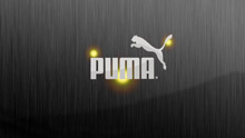 Puma ()